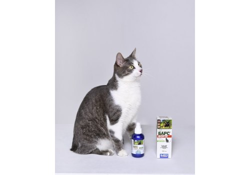 АгроВетЗащита Барс Форте / Спрей Инсектоакарицидный для кошек против блох, вшей, власоедов, иксодовых и чесоточных клещей