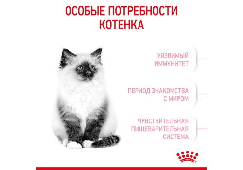 Royal Canin Kitten Instinctive Jelly / Влажный корм (Консервы-Паучи) Роял Канин Киттен Инстинктив для Котят в возрасте от 4 до 12 месяцев в Желе (цена за упаковку) Royal Canin Kitten Instinctive Jelly / Влажный корм (Консервы-Паучи) Роял Канин Киттен Инстинктив для Котят в возрасте от 4 до 12 месяцев в Желе (цена за упаковку)