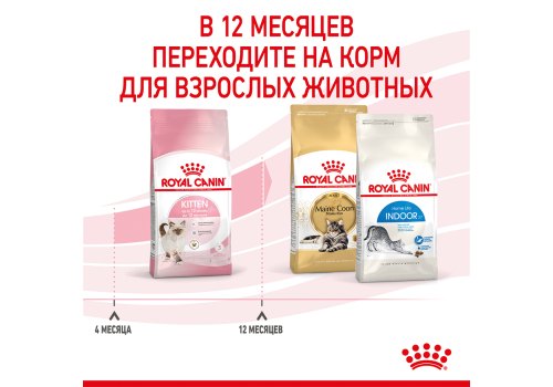 Royal Canin Kitten Instinctive Jelly / Влажный корм (Консервы-Паучи) Роял Канин Киттен Инстинктив для Котят в возрасте от 4 до 12 месяцев в Желе (цена за упаковку) Royal Canin Kitten Instinctive Jelly / Влажный корм (Консервы-Паучи) Роял Канин Киттен Инстинктив для Котят в возрасте от 4 до 12 месяцев в Желе (цена за упаковку)