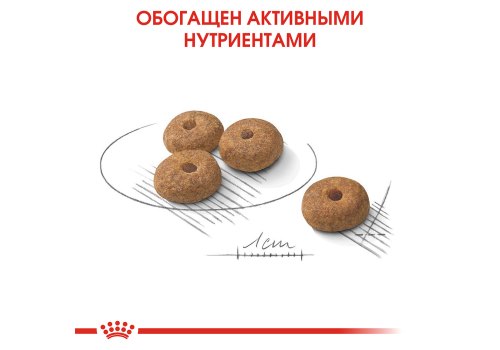 Royal Canin Mini Adult Sterilised / Сухой корм Роял Канин Мини Эдалт Стерилайзд для взрослых Стерилизованных собак Мелких пород в возрасте от 10 месяцев до 8 лет со склонностью к Избыточному весу