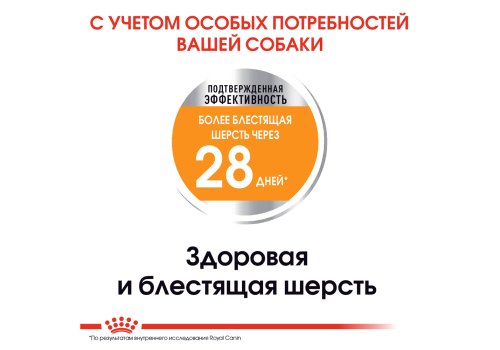 Royal Canin Mini Coat Care / Сухой корм Роял Канин Мини Коат Кеа для собак Мелких пород весом до 10 кг Здоровая и блестящая шерсть Royal Canin Mini Coat Care / Сухой корм Роял Канин Мини Коат Кеа для собак Мелких пород весом до 10 кг Здоровая и блестящая шерсть