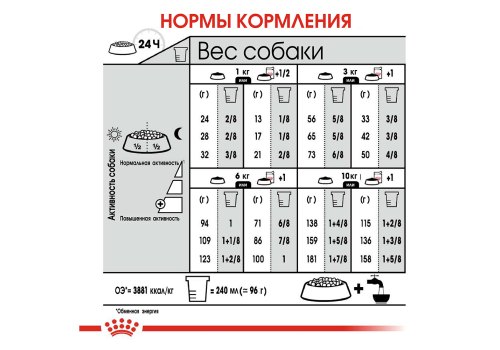 Royal Canin Mini Coat Care / Сухой корм Роял Канин Мини Коат Кеа для собак Мелких пород весом до 10 кг Здоровая и блестящая шерсть