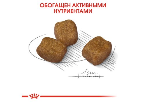 Royal Canin Mini Dental Care / Сухой корм Роял Канин Мини Дентал Кэа для собак Мелких пород весом до 10 кг Уменьшает образование зубного камня