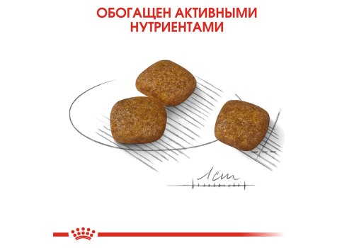 Royal Canin Mini Urinary Care / Сухой корм Роял Канин Мини Уринари Кэа для собак Мелких пород весом до 10 кг с Чувствительной Мочевыделительной системой
