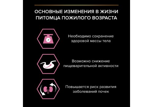 PRO PLAN DELICATE / Сухой корм ПРО ПЛАН для пожилых кошек при чувствительном пищеварении с индейкой PRO PLAN DELICATE / Сухой корм ПРО ПЛАН для пожилых кошек при чувствительном пищеварении с индейкой