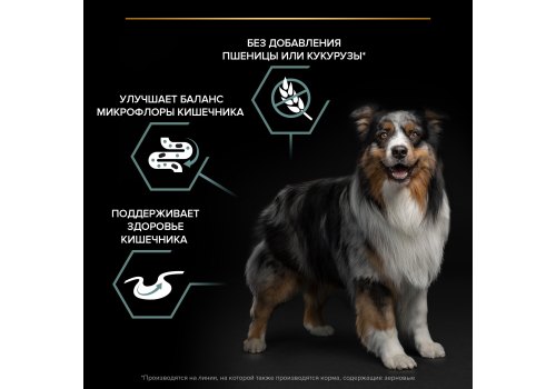 PRO PLAN GRAIN FREE / Сухой корм ПРО ПЛАН для взрослых собак средних и крупных пород при чувствительном пищеварении с индейкой