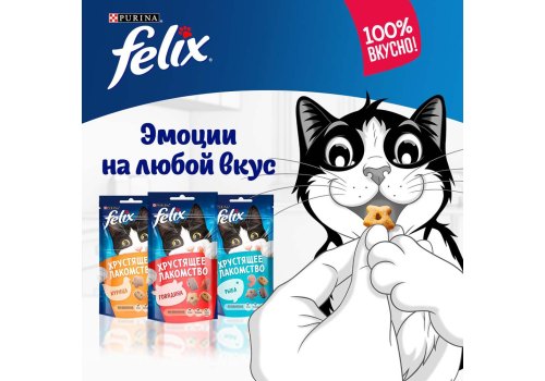 Felix Хрустящее лакомство / Лакомство Пурина Феликс для взрослых кошек с сыром Felix Хрустящее лакомство / Лакомство Пурина Феликс для взрослых кошек с сыром