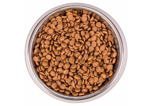 Monge Kitten Monoprotein / Сухой корм Монж Монопротеиновый для Котят Форель