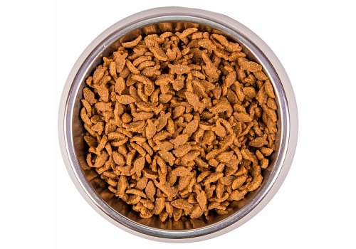 Monge Cat Adult Salmon / Сухой корм Монж для Взрослых кошек Лосось