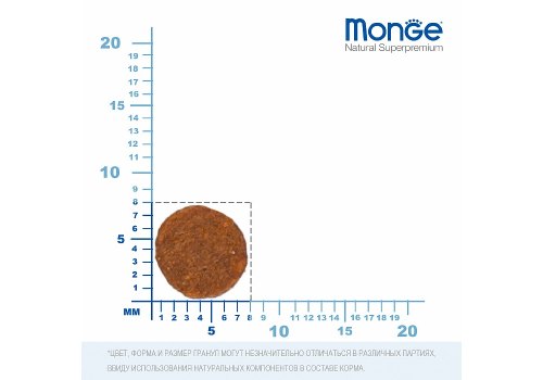 Monge Kitten Monoprotein / Сухой корм Монж Монопротеиновый для Котят Форель