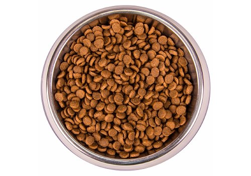 Monge Kitten Monoprotein / Сухой корм Монж Монопротеиновый для Котят Форель