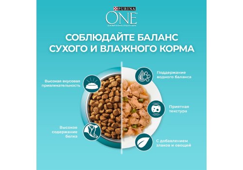 PURINA ONE HOUSECAT / Сухой корм Пурина УАН для взрослых кошек при домашнем образе жизни с индейкой