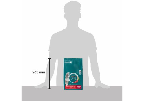 PURINA ONE STERILISED / Сухой корм Пурина УАН для взрослых стерилизованных кошек с говядиной