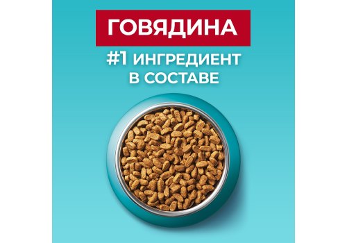 PURINA ONE STERILISED / Сухой корм Пурина УАН для взрослых стерилизованных кошек с говядиной