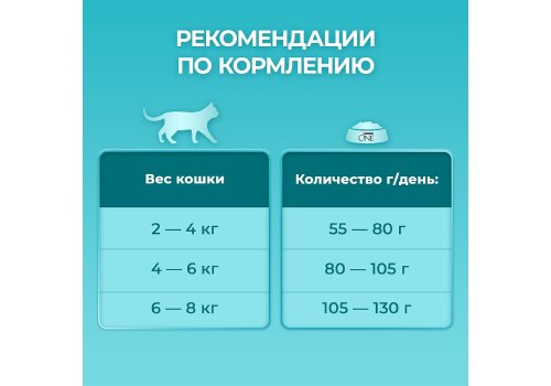 PURINA ONE STERILISED / Сухой корм Пурина УАН для взрослых стерилизованных кошек с говядиной