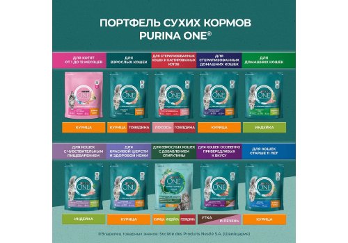 PURINA ONE SUPERFOOD / Сухой корм Пурина УАН для взрослых кошек с курицей
