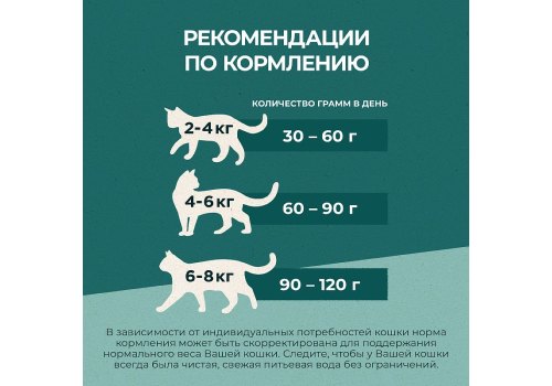 PURINA ONE SUPERFOOD / Сухой корм Пурина УАН для взрослых кошек с курицей