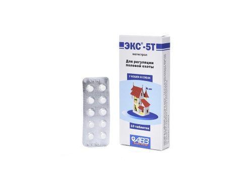 Okvet / Шампунь Оквет для собак и кошек Лечебный с хлоргексидином