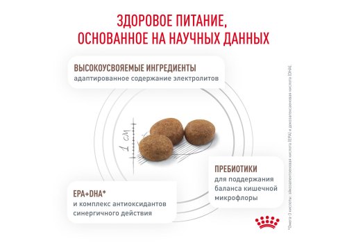 Royal Canin Gastrointestinal Hairball / Ветеринарный сухой корм Роял Канин Гастроинтестинал Хэйрбол для кошек Нарушения пищеварения Вывод волосяных комочков