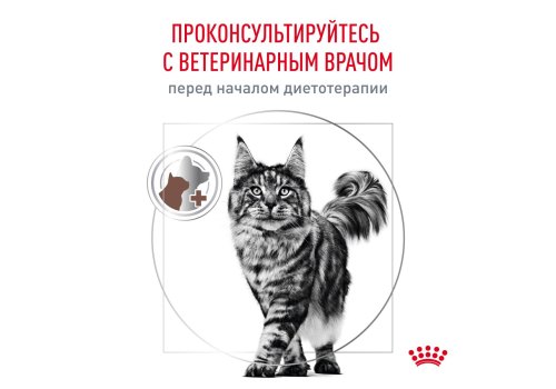 Royal Canin Gastrointestinal Hairball / Ветеринарный сухой корм Роял Канин Гастроинтестинал Хэйрбол для кошек Нарушения пищеварения Вывод волосяных комочков