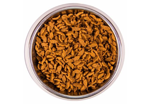 Monge Cat Adult Salmon / Сухой корм Монж для Взрослых кошек Лосось