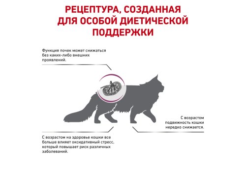 Royal Canin Early Renal / Ветеринарный сухой корм Роял Канин Ерли Ренал для кошек Поддержание функции почек (хроническая почечная недостаточность на ранних стадиях)