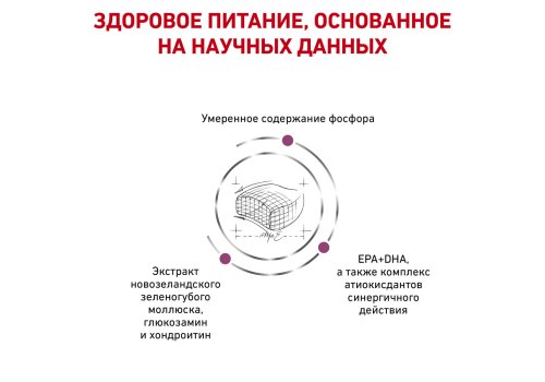 Royal Canin Early Renal / Ветеринарный сухой корм Роял Канин Ерли Ренал для кошек Поддержание функции почек (хроническая почечная недостаточность на ранних стадиях)