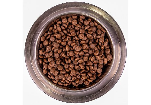 Monge BWild Low Grain Puppy & Junior Deer / Сухой Низкозерновой корм Монж Бивайлд для Щенков всех пород мясо Оленя