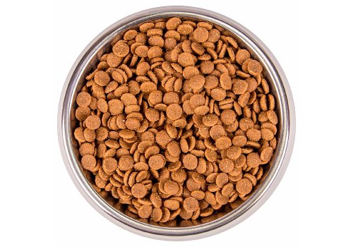 Monge Kitten BWild Low Grain Goose / Сухой Низкозерновой корм Монж Бивайлд для Котят мясо Гуся