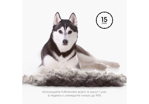 FURminator L Large Dog Short Hair / Фурминатор для собак Крупных пород с Короткой шерстью