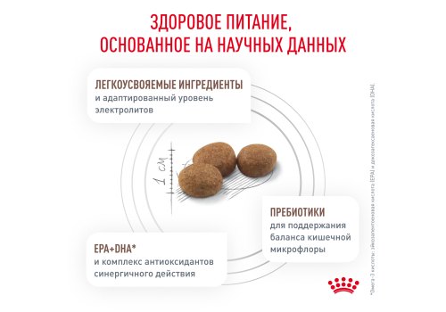 Royal Canin Gastrointerstinal Low Fat Small Dog / Ветеринарный сухой корм Роял Канин Гастроинтестинал Лоу Фэт Смол Дог для собак Мелких пород при нарушении Пищеварения Низкокалорийный