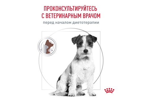 Royal Canin Gastrointerstinal Low Fat Small Dog / Ветеринарный сухой корм Роял Канин Гастроинтестинал Лоу Фэт Смол Дог для собак Мелких пород при нарушении Пищеварения Низкокалорийный