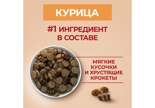 PURINA ONE ADULT / Сухой корм Пурина УАН для взрослых собак средних и крупных пород с курицей