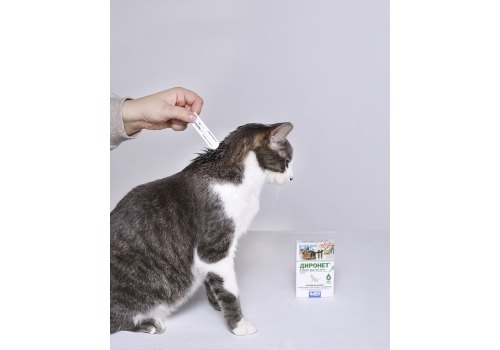 АгроВетЗащита Диронет Спот-он / Капли для Котят на холку от круглых и ленточных Гельминтов Блох Вшей и Клещей