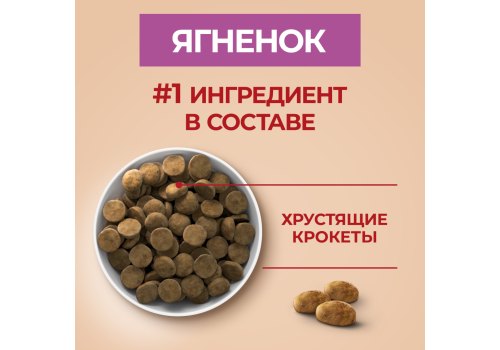 PURINA ONE ADULT / Сухой корм Пурина УАН для взрослых собак средних и крупных пород с ягненком