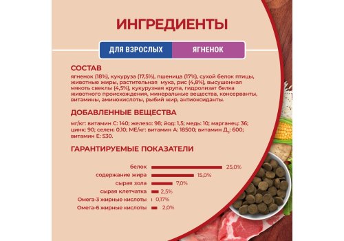 PURINA ONE ADULT / Сухой корм Пурина УАН для взрослых собак средних и крупных пород с ягненком