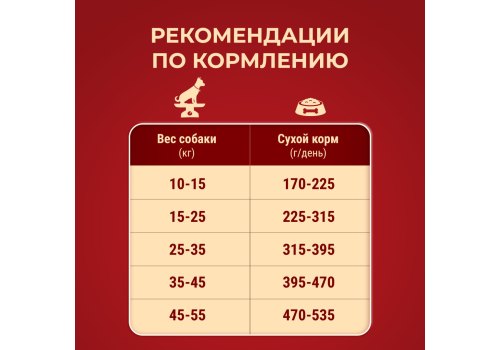 PURINA ONE ADULT / Сухой корм Пурина УАН для взрослых собак средних и крупных пород с ягненком