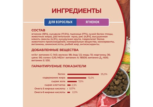 PURINA ONE ADULT / Сухой корм Пурина УАН для взрослых собак средних и крупных пород с ягненком