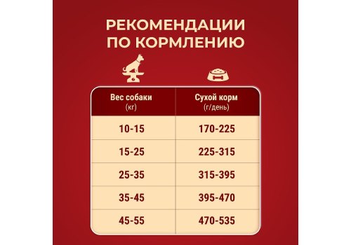 PURINA ONE ADULT / Сухой корм Пурина УАН для взрослых собак средних и крупных пород с ягненком