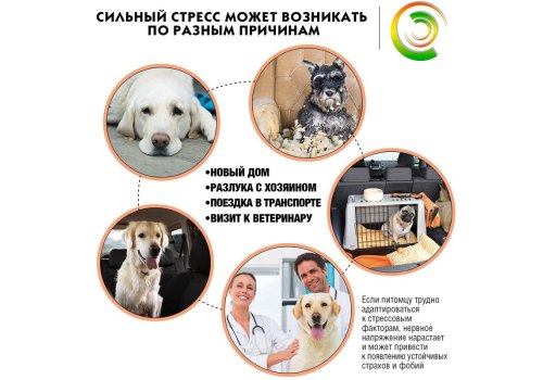 Relaxivet / Ошейник Успокоительный Релаксивет для собак Средних и Крупных пород при Стрессах Страхах и Возбуждении