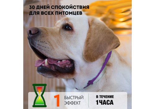 Relaxivet / Ошейник Успокоительный Релаксивет для собак Средних и Крупных пород при Стрессах Страхах и Возбуждении