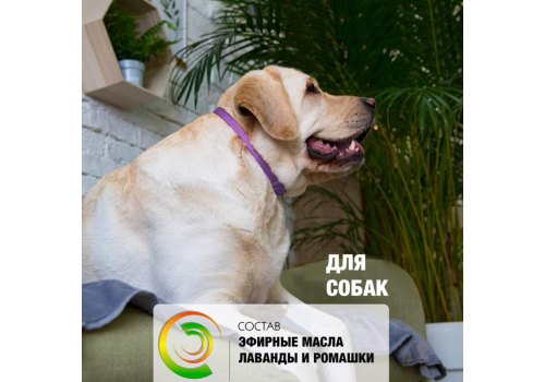 Relaxivet / Ошейник Успокоительный Релаксивет для собак Средних и Крупных пород при Стрессах Страхах и Возбуждении