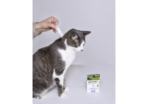 АгроВетЗащита Диронет Спот-он / Капли для кошек на холку от круглых и ленточных Гельминтов Блох Вшей и Клещей
