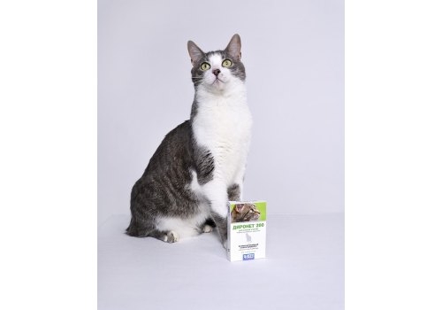 АгроВетЗащита Диронет 200 / Антигельминтный препарат для Котят и кошек