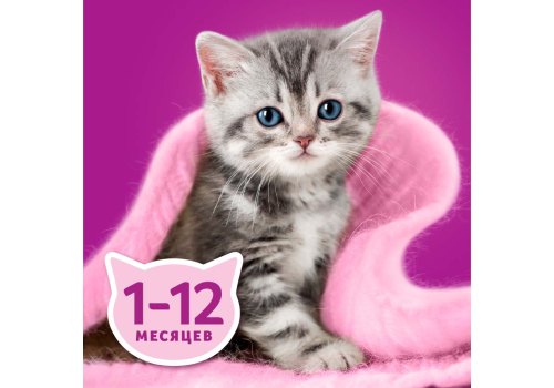 Whiskas / Паучи Вискас для Котят Ягненок рагу (цена за упаковку)