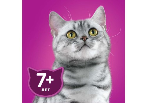 Whiskas 7+ / Паучи Вискас для Пожилых кошек рагу Курица (цена за упаковку)
