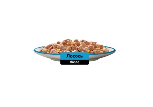 Whiskas / Паучи Вискас для кошек Лосось желе (цена за упаковку)