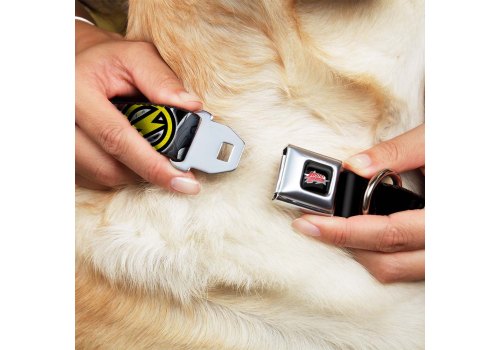 Buckle-Down / Ошейник Бакл-Даун для собак с Металлической застёжкой Лига Справедливости портреты и лого мультицвет