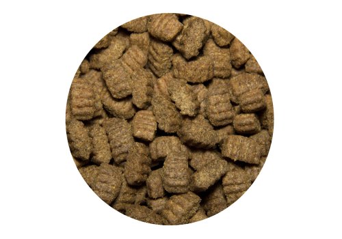 All Dogs / Сухой корм Ол Догс для собак с Говядиной и овощами