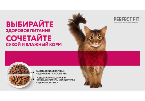 Perfect Fit Sensitive / Паучи Перфект Фит для кошек с Чувствительным пищеварением Лосось в соусе (цена за упаковку)